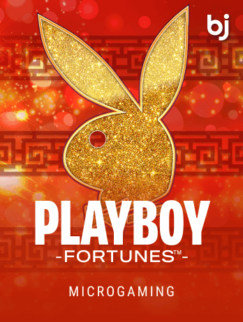 Playboy Fortunes ™png small icon